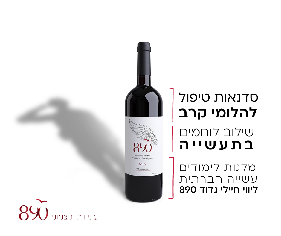 בקבוק יין 890 קברנה סוביניון 2020. ההכנסות מממנות סדנאות טיפול להלומי קרב, שילוב לוחמים בתעשייה, מלגות לימודים וליווי חיילי גדוד 890